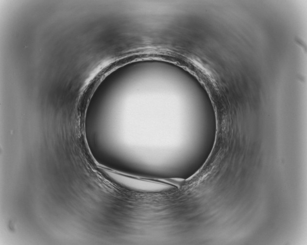 X0000094971310200712201213