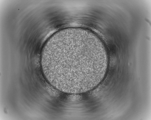 X0000094971314200712201214