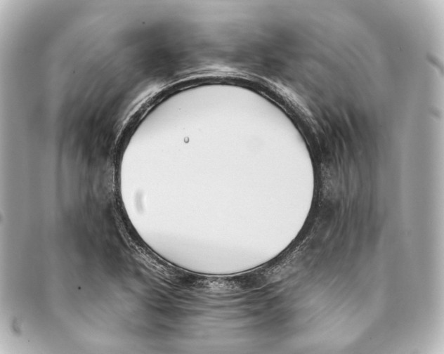 X0000094971318200712201214