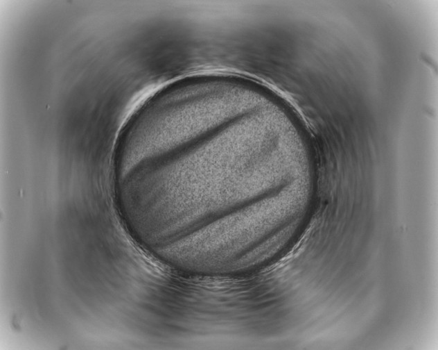 X0000094971319200712201214