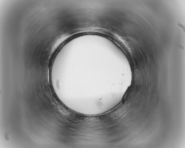 X0000094971320200712201214