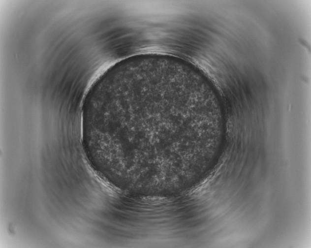 X0000094971323200712201214