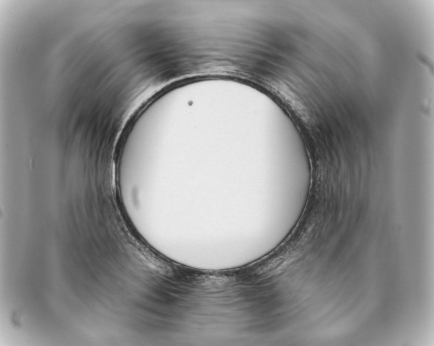 X0000094971324200712201214