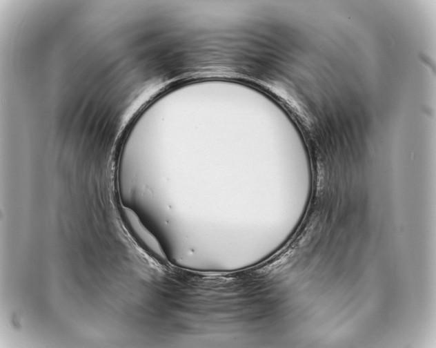 X0000094971325200712201214