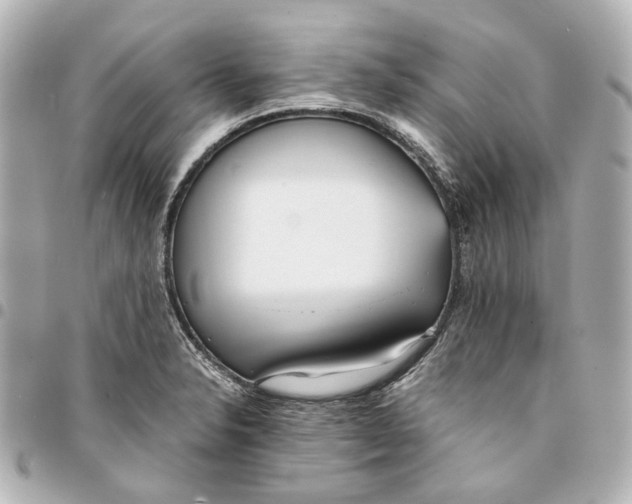 X0000094971326200712201214