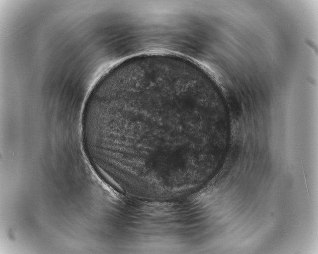 X0000094971327200712201214