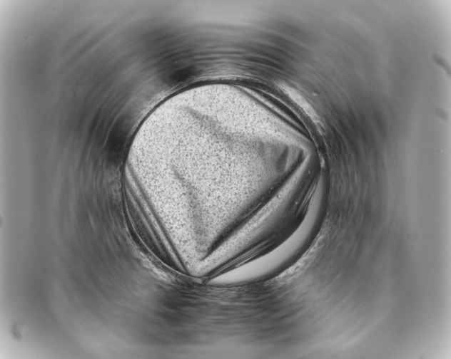 X0000094971329200712201214