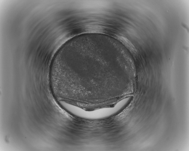 X0000094971331200712201214