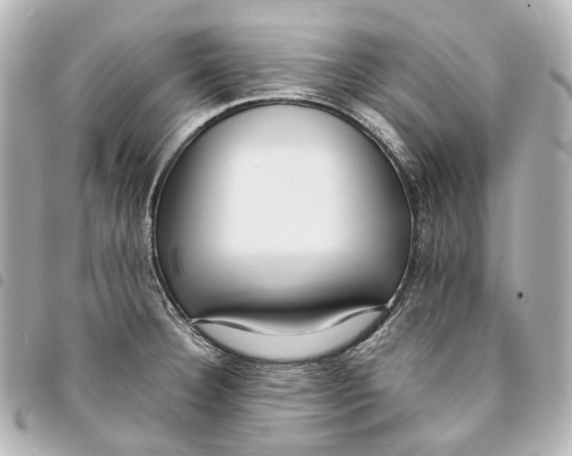 X0000094971332200712201214