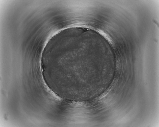 X0000094971334200712201214