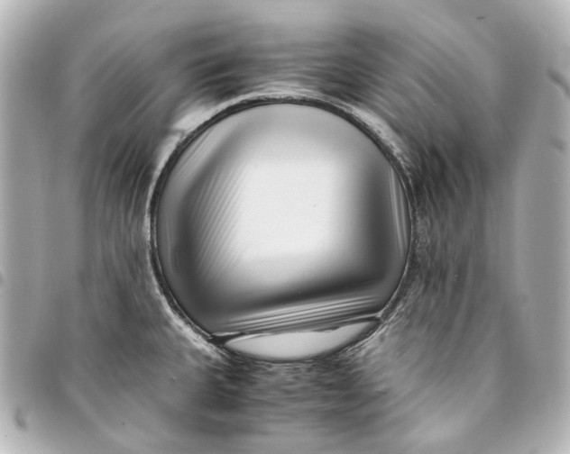 X0000094971335200712201214