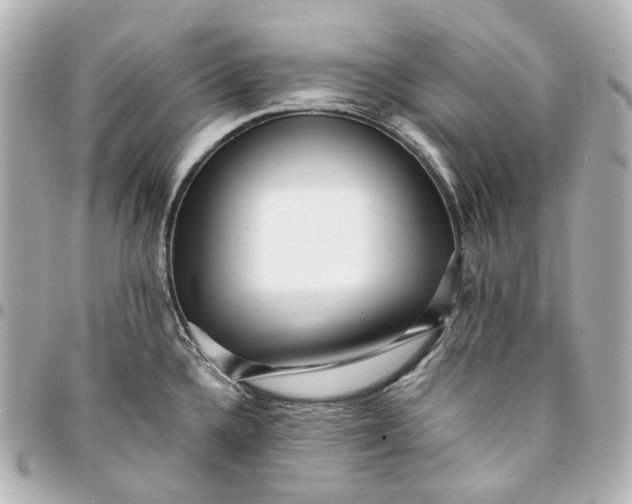 X0000094971336200712201214