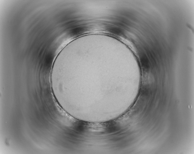 X0000094971338200712201214