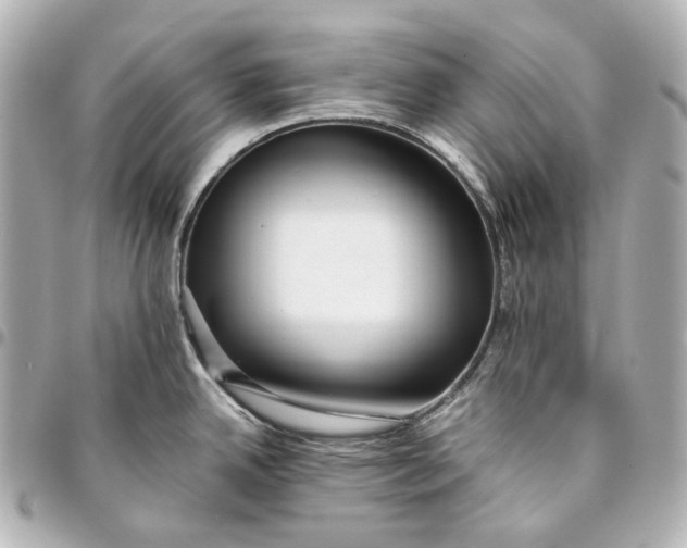 X0000094971342200712201214