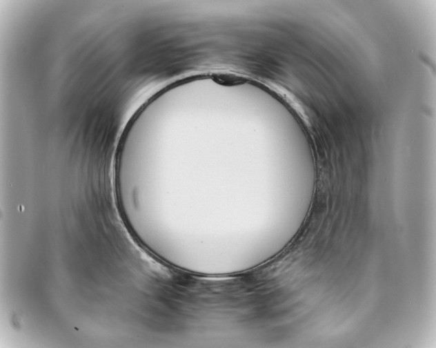 X0000094971343200712201214