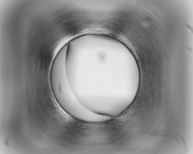 X0000094971344200712201214