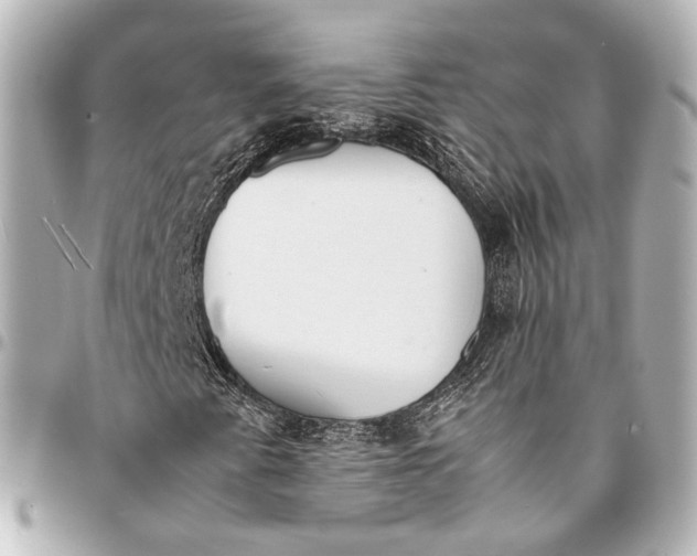 X0000094971345200712201213