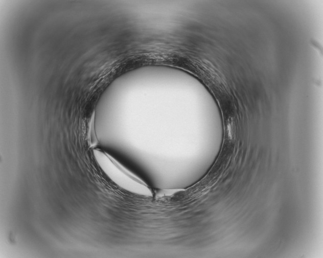 X0000094971347200712201213