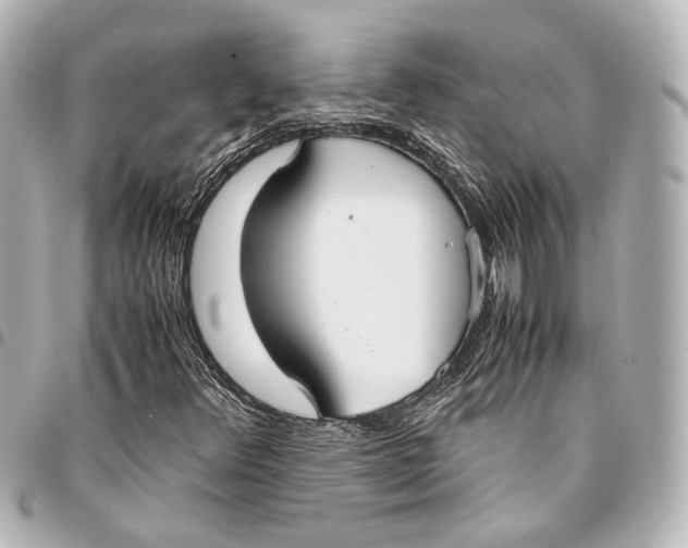 X0000094971348200712201213