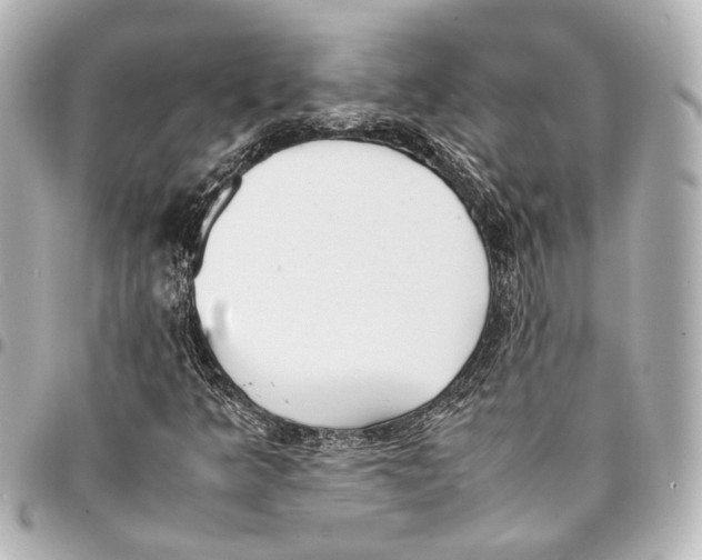 X0000094971349200712201213