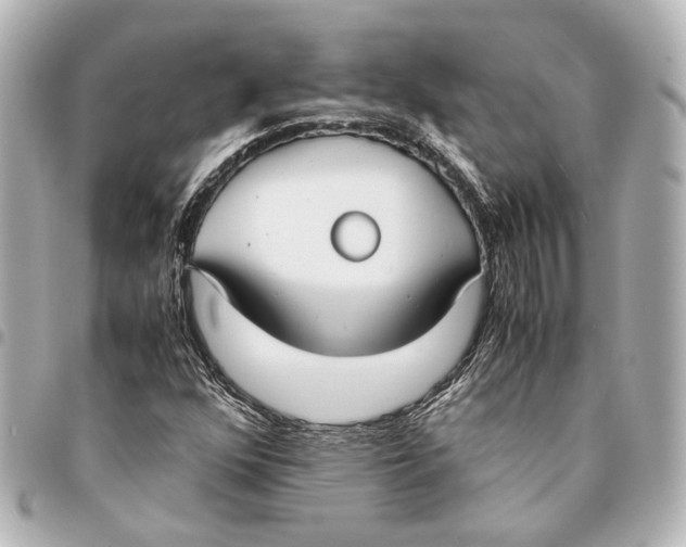 X0000094971352200712201213