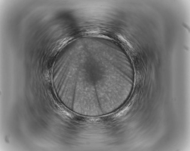 X0000094971353200712201213