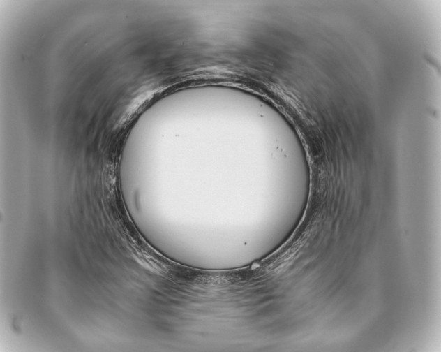 X0000094971355200712201213