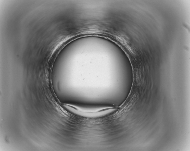 X0000094971356200712201213