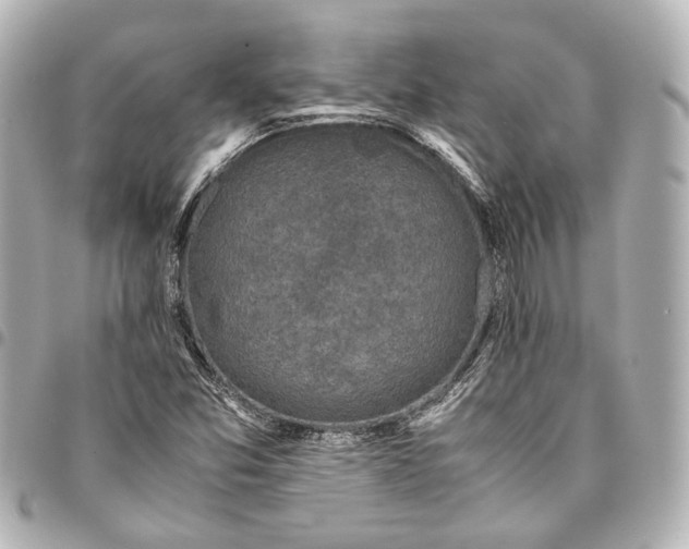 X0000094971357200712201213