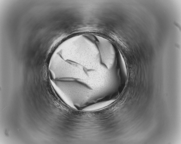 X0000094971358200712201213