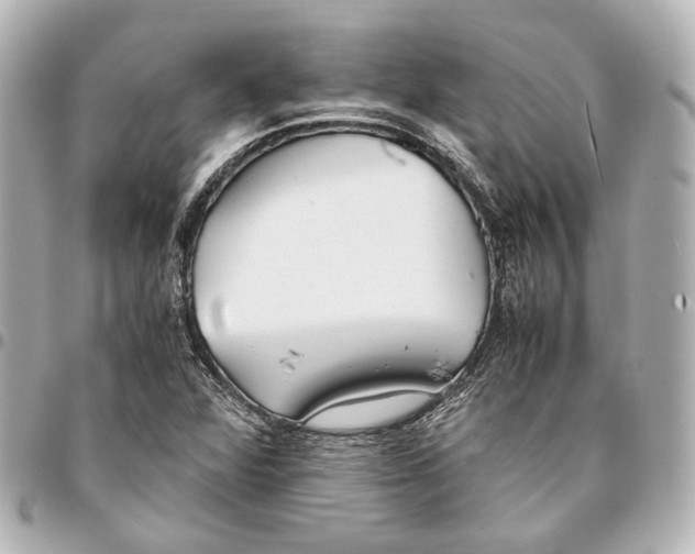 X0000094971360200712201213