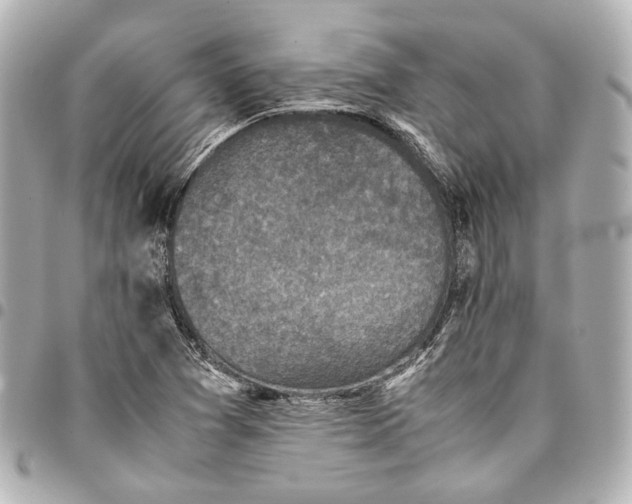 X0000094971361200712201213