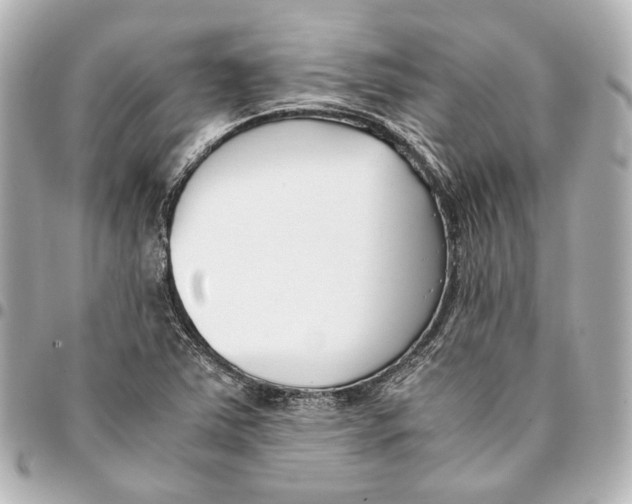 X0000094971363200712201213