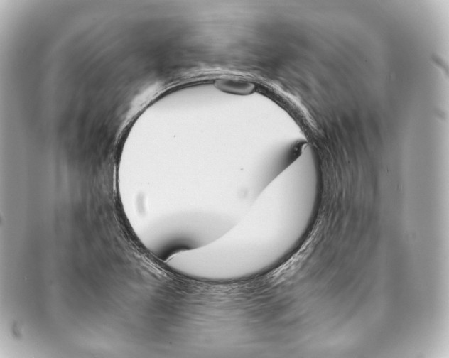 X0000094971365200712201213