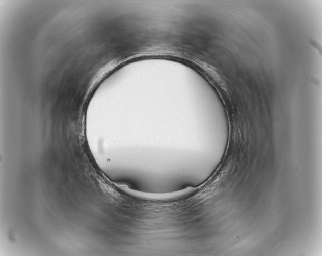 X0000094971366200712201213