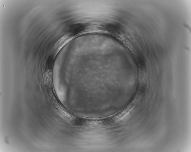 X0000094971369200712201213