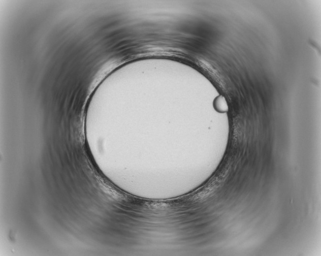 X0000094971370200712201213