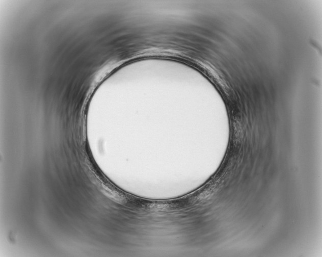 X0000094971371200712201213