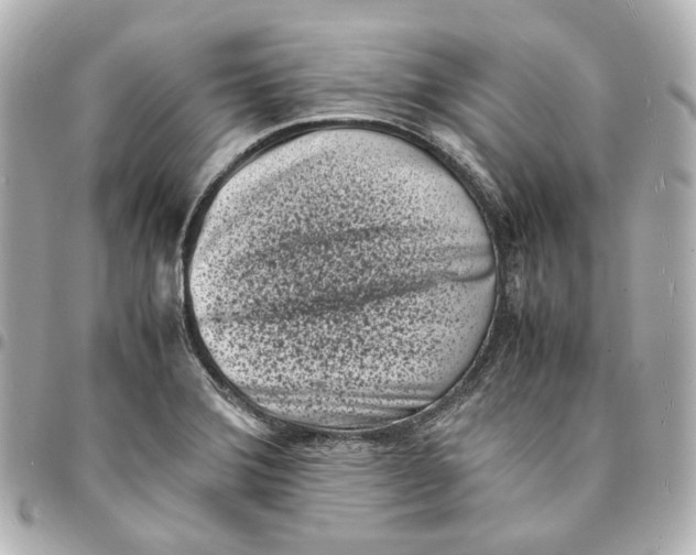 X0000094971372200712201213