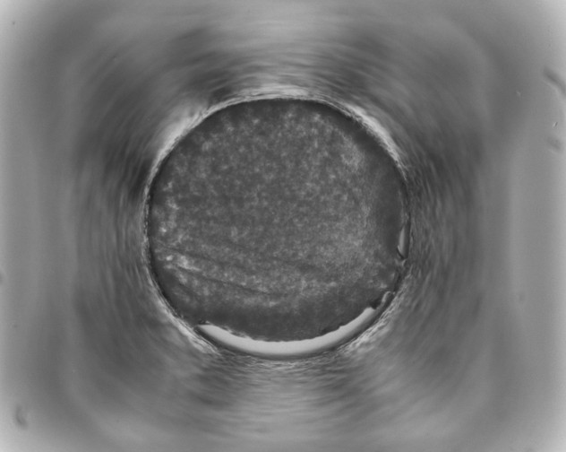 X0000094971373200712201213