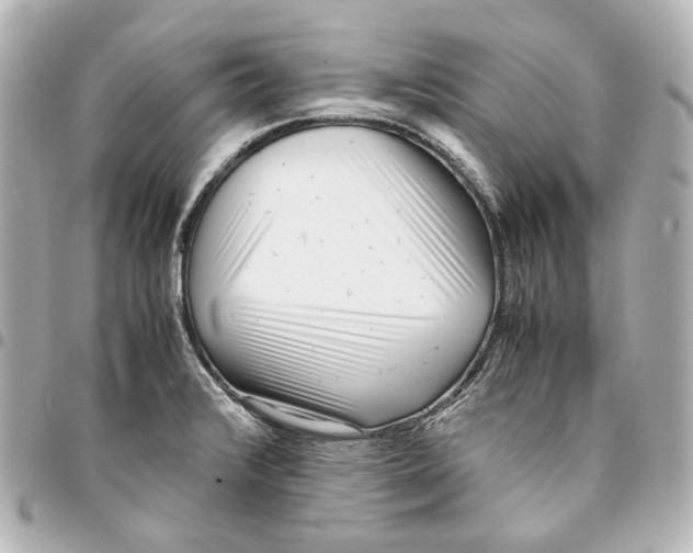 X0000094971376200712201213