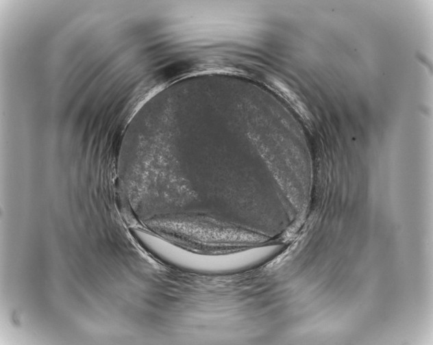 X0000094971377200712201213