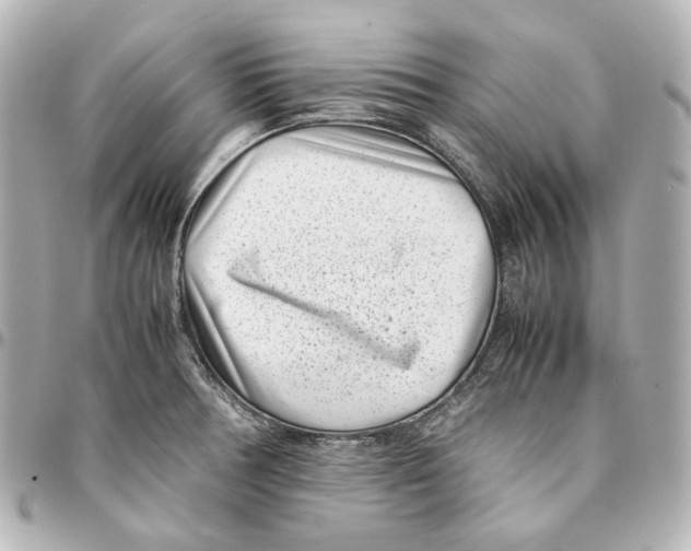 X0000094971378200712201213