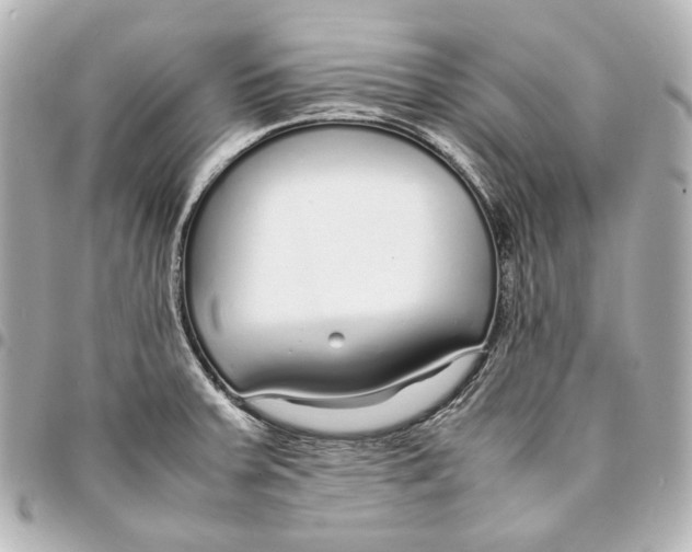 X0000094971379200712201213