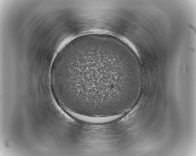 X0000094971381200712201213