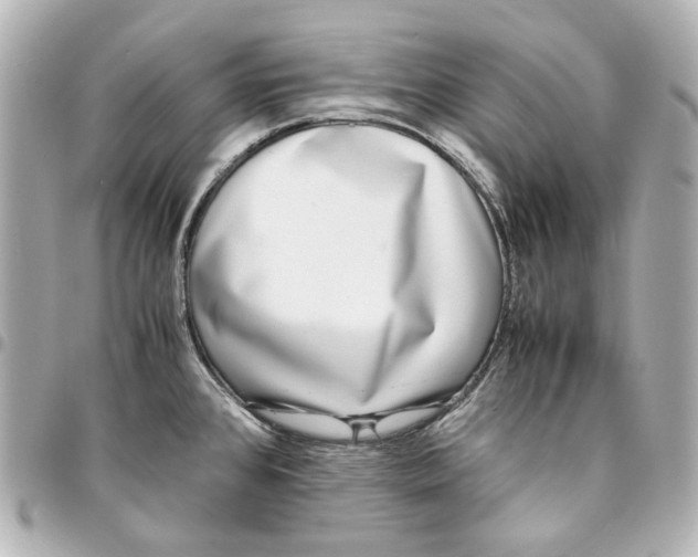 X0000094971384200712201213