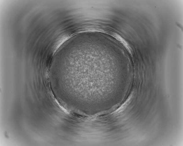 X0000094971385200712201213