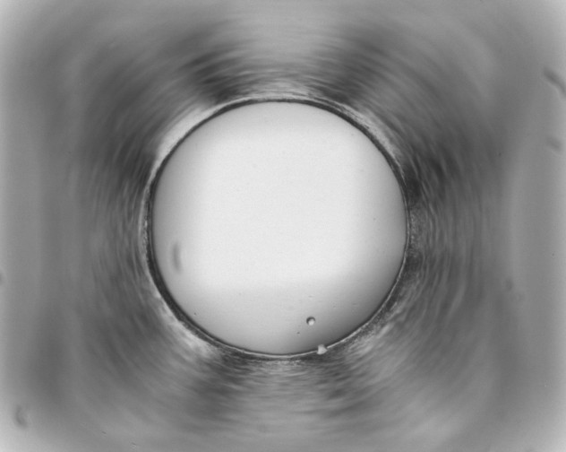 X0000094971387200712201213