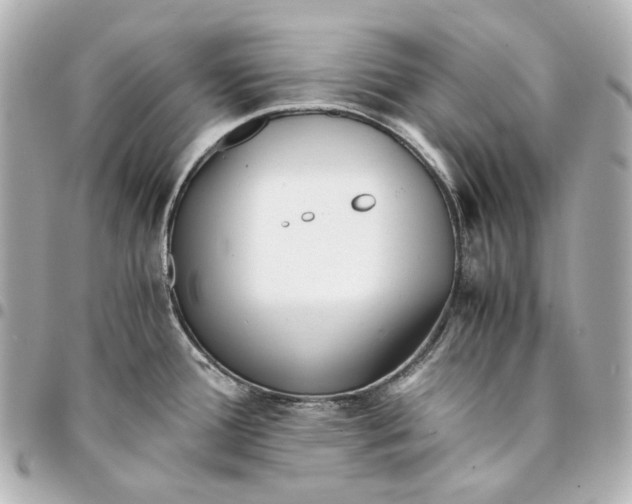 X0000094971388200712201213