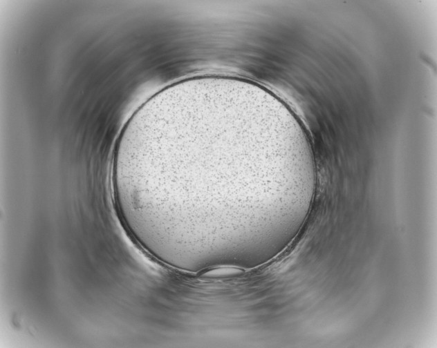 X0000094971391200712201213